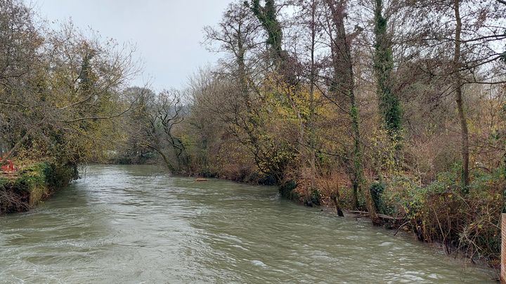 Le fleuve côtier l'Aa, dans le Pas-de-Calais. (BENJAMIN ILLY / FRANCEINFO)