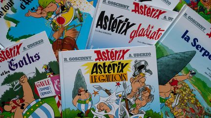 Des couvertures de plusieurs tomes d'Astérix.&nbsp; (RICCARDO MILANI / HANS LUCAS)