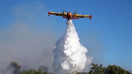 Un canadair intervenant sur un feu de forêt près de Vitrolles (Bouches-du-Rhône), le 10 juillet 2019 (CHRISTOPHE SIMON / AFP)