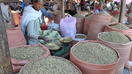 Quelque 15% des 102 millions d'Ethiopiens vivent des revenus du café. Environ 80 % du café provient de zones forestières situées sur les hauts plateaux fournissant l'ombre nécessaire à sa croissance. Le café est cultivé essentiellement à des altitudes allant de 1.200 à 2.200 mètres, la température idéale se situant entre 18 et 22°C. Ces cinquante dernières années, la température moyenne a augmenté d'environ 1,5°C en Ethiopie. Pour faire face aux effets du réchauffement climatique, il faudrait faire grimper les plantations de café de 32 mètres tous les ans, selon des chercheurs cités par Le Point. (BERAUD / BSIP)