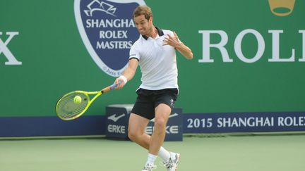 Richard Gasquet (LIU JIANMIN / IMAGINECHINA)