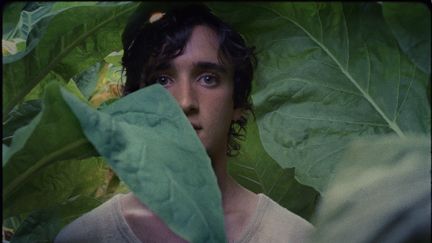 Heureux comme Lazzaro d'Alice Rohrwacher (Ad Vitam Distribution)