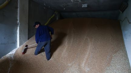 Un fermier polonais, Artur Tabor, montre son stock de céréales invendues sur fond de polémique sur le grain ukrainien, à Buczyna (Pologne), le 25 avril 2023. (JAKUB PORZYCKI / ANADOLU AGENCY / AFP)