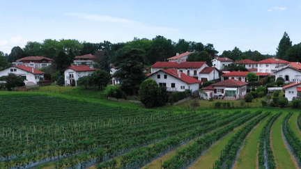 Vacances d'été : à la découverte du Pays basque, entre montagne et océan