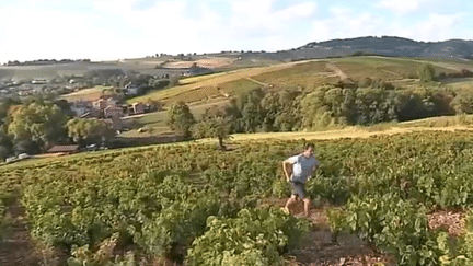 François D'Haene, un champion tout terrain