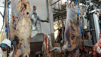 Maltraitance animale : le procès de l'abattoir de Mauléon s'ouvre à Pau