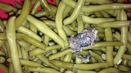 Une m&egrave;re de famille a d&eacute;couvert une grenouille dans une bo&icirc;te de haricots verts, &agrave; Clermont-Ferrand (Puy-de-D&ocirc;me). (FTV)