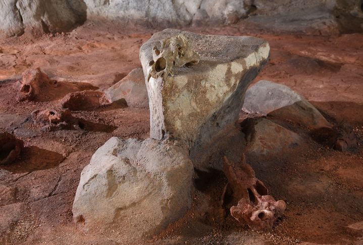 La salle du crâne de la grotte Chauvet, reproduite dans sa réplique Chauvet 2, à Vallon-Pont-d'Arc, dans l'Ardèche. (PATRICK AVENTURIER / GROTTE CHAUVET 2 ARDECHE)