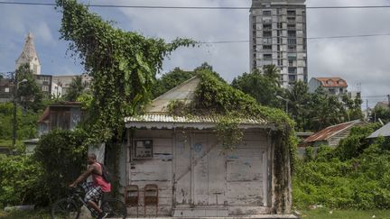 En Guadeloupe, le 5 septembre 2017,&nbsp;avant le passage de l'ouragan Irma. (HELENE VALENZUELA / AFP)