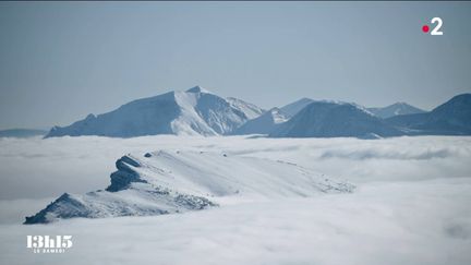 VIDEO. "Ce projet va avoir un impact écologique phénoménal" : dans le Vercors, un investissement immobilier porté par Tony Parker fait débat