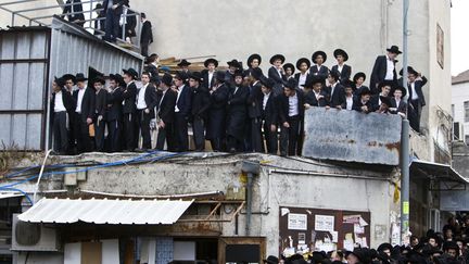 Des juifs ultra-orthodoxes se pressent pour assister &agrave; la procession fun&eacute;raire du rabbin Natan Tzvi Finkel &agrave; J&eacute;rusalem (Isra&euml;l), le 8 novembre 2011. (NIR ELIAS / REUTERS)