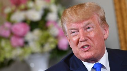 Donald Trump à Caen (Calvados), le 6 juin 2019. (MANDEL NGAN / AFP)