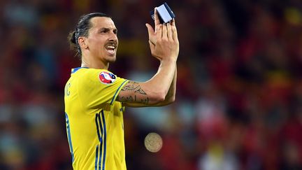 Le Suédois Zlatan Ibrahimovic lors du match de l'Euro Suède-Belgique à Nice, le 22 juin 2016.&nbsp; (FEDERICO GAMBARINI / DPA / AFP)