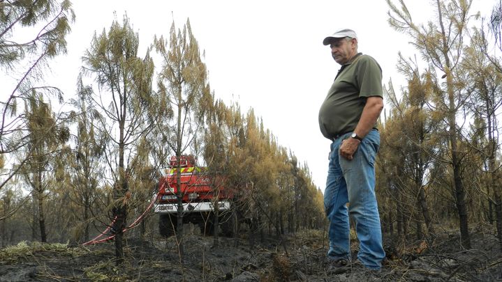 Patrick Maurin a perdu 16 hectares de for&ecirc;t lors de l'incendie de Naujac-sur-Mer le 25 juillet 2015. (ELISE LAMBERT / FRANCETV INFO)