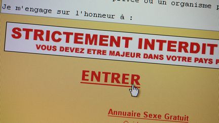 Un site interdit aux moins de 18 ans sur un écran. Photo d'illustration. (TURPIN PHILIPPE / MAXPPP)