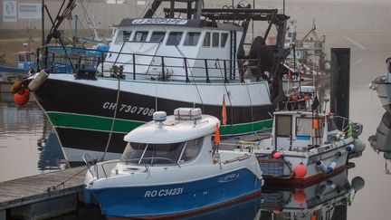 Des bateaux de pêche à quai, au port du Tréport, en Normandie. (GILLES TARGAT / GILLES TARGAT)