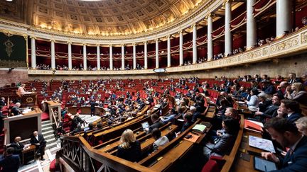 L'hémicycle de l'Assemblée nationale, le 9 mai 2023. (ARNAUD PAILLARD / HANS LUCAS)