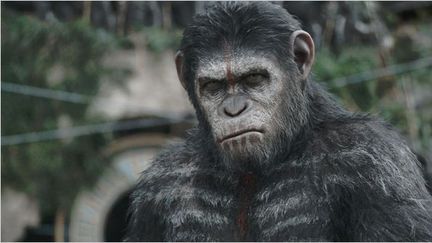 Andy Serkis sous son maquillage simiesque dans "La Planète des singes : l'affrontement" de Matt Reeves
 ( Twentieth Century Fox 2014)