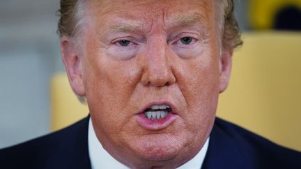 Donald Trump à la Maison Blanche&nbsp;lors d'une rencontre avec le président canadien, le 20 juin 2019. (MANDEL NGAN / AFP)