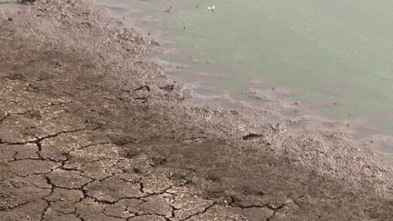 Sécheresse : l'alerte renforcée décrétée pour un quart du département de l'Ain (France 3)