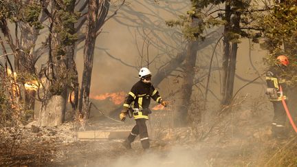 Des pompiers luttent contre un incendie à Saint-Cannat (Bouches-du-Rhône), le 15 juillet 2017. (MAXPPP)