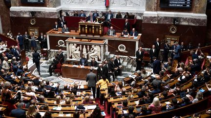 Les députés dans l'hémicycle de l'Assemblée nationale, le 23 juillet 2019. (STEPHANE DE SAKUTIN / AFP)