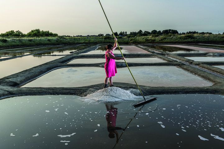 Festival Photo la Gacilly 2019 (Festival Photo la Gacilly 2019)