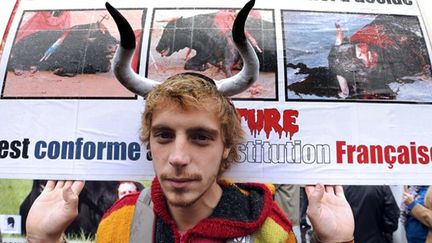 Manifestant le 20 octobre devant le Conseil Constitutionnel pour protester contre le maintien de la tauromachie dans le Sud du pays
 (François Guillot / AFP)