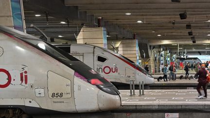 Trains à la gare de Paris Montparnasse, le 22 octobre 2024. (HENRIQUE CAMPOS / HANS LUCAS / AFP)