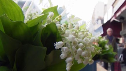 1er-Mai : le muguet, les clochettes du bonheur (CAPTURE D'ÉCRAN FRANCE 3)