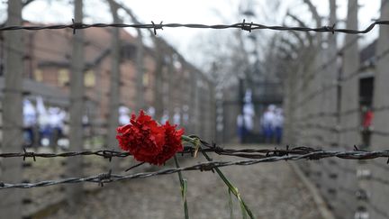 Histoire : le témoignage d'un rescapé d'Auschwitz pour la mémoire