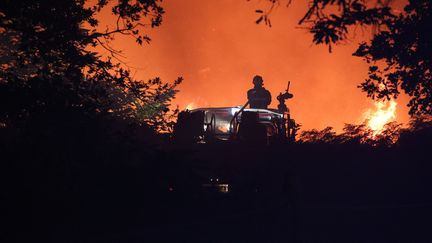 Un pompier&nbsp;progresse dans la forêt entre&nbsp;Landiras&nbsp;et Guillos (Gironde), touchée par un incendie, le 13 juillet 2022. (THIBAUD MORITZ / AFP)