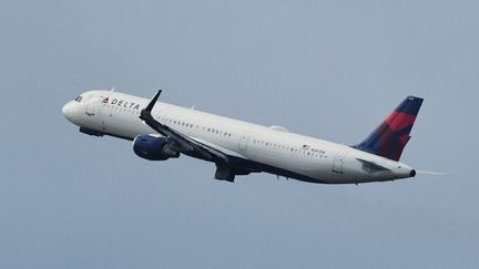 Les faits se sont déroulés à bord d'un vol Delta Airlines le 7 janvier. (PAUL HENNESSY / NURPHOTO / AFP)