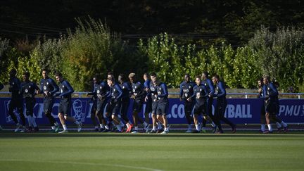 L'Equipe de France de football à l'entrainement à Clairefontaine-en-Yvelines.&nbsp; (CHRISTOPHE SAIDI/SIPA)