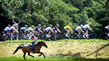 Tour de France : Marseille accueille le contre-la-montre