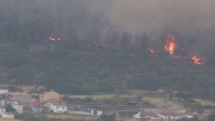 Climat : incendies, canicule… L'Europe en état d'alerte