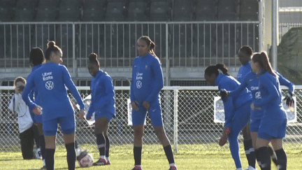 Quatre joueuses, dont la capitaine Wendie Renard, ont annoncé leur retrait des Bleues à cinq mois de la Coupe du monde, sous fond de tension avec Corinne Diacre, la sélectionneuse. (FRANCEINFO)