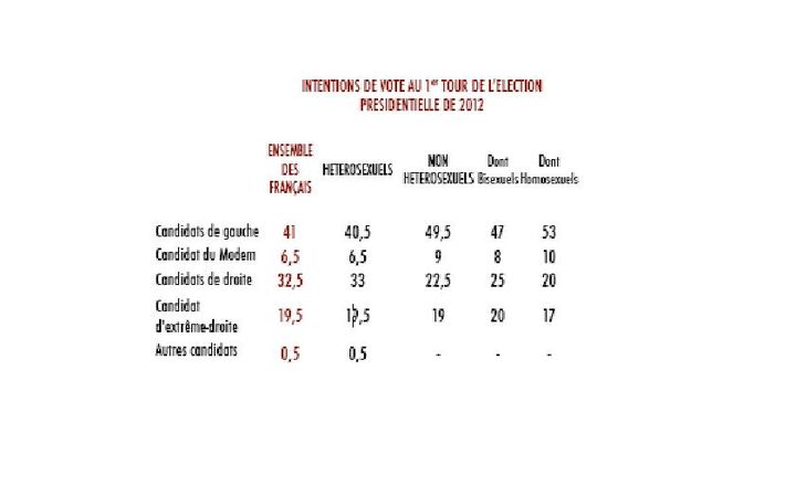 Capture d'écran de l'étude du Cevipof sur le vote gay (Cevipof)