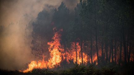 Un incendie de forêt à Saumos (Gironde), le 13 septembre 2022. (PHILIPPE LOPEZ / AFP)