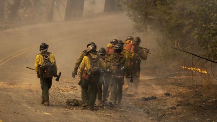 Une équipe de pompiers marche le long de la forêt, à Midpines,&nbsp;où le feu se propage, le 23 juillet 2022.&nbsp;Plus de 2 500 pompiers combattent les flammes d'un incendie "explosif" qui continue de se propager à un rythme toujours "très rapide" dans les collines boisées du centre de la Californie. (DAVID MCNEW / AFP)