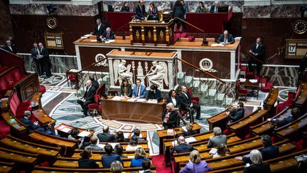 The hemicycle of the National Assembly, in Paris, January 21, 2024. (XOSE BOUZAS / HANS LUCAS / AFP)