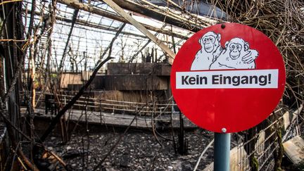 Une pancarte devant "la maison des singes" du zoo de Krefeld, le 1er janvier 2020, en Allemagne. (CHRISTOPH REICHWEIN / DPA / AFP)