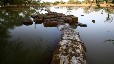 Cette année, les pluies abondantes de juillet à septembre ont fait monter les eaux du Nil. Le fleuve a atteint 17,62 mètres, un record absolu depuis plus d'un siècle, date du début des relevés. Les autorités ont déclaré l'état d'urgence sur l'ensemble du territoire, car ces inondations ont particulièrement été destructrices. 103 personnes sont mortes, des dizaines d’autres blessées. Plus de 70.000 habitations détruites ou endommagées et de vastes terres agricoles touchées, selon les autorités. D'après l'ONU, plus de 550.000 personnes ont été affectées.&nbsp; (ASHRAF SHAZLY / AFP)