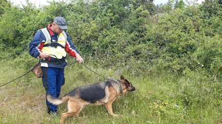 Un&nbsp;maître-chien qui travaille pour Veolia, et son chien, un berger allemand détecteur de fuites d'eau.&nbsp; (VEOLIA)