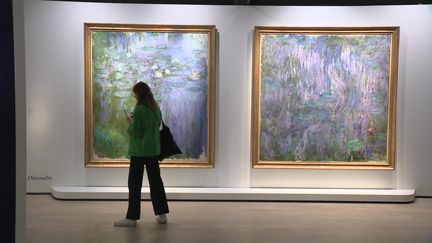 La célèbre série des Nymphéas et des Glycines où Monet&nbsp;Monet traite l’eau et la végétation comme "un tout sans fin, une onde sans horizon et sans rivage". (É. Aubron / France Télévisions)