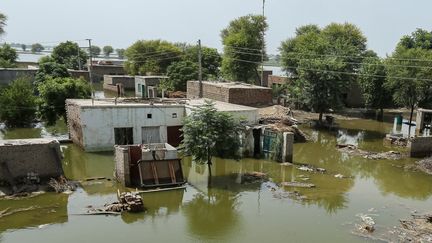 Des maisons inondées le 27 août 2023, à Burewala, dans la province du Pendjab (Pakistan). (SHAHID SAEED MIRZA / AFP)