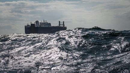 Le cargo "Bahri Yanbu" au large du Havre, le 9 mai 2019. (LOIC VENANCE / AFP)