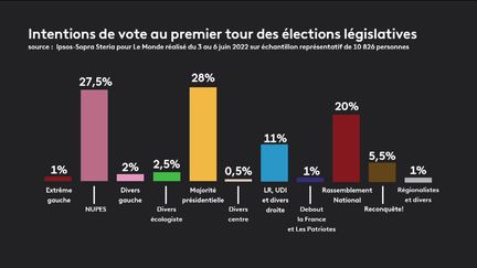 Législatives 2022 : la majorité et la Nupes en tête des sondages, le RN un peu en dessous