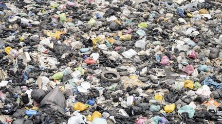 À Nairobi, les délégations de 175 pays se sont réunies sous l'égide de l'ONU pour négocier un traité mondial pour mettre fin aux déchets plastiques. Les négociations se sont terminées sur fond de désaccord entre les ONG et les réprésentants de l'industrie de la pétrochimie, alors que la question de la lutte contre le plastique reste cruciale.