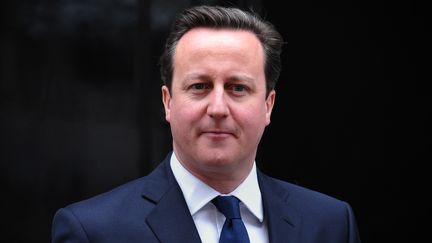 Le Premier ministre britannique, David Cameron, &agrave; Londres, le 21 janvier 2013. (CARL COURT / AFP)